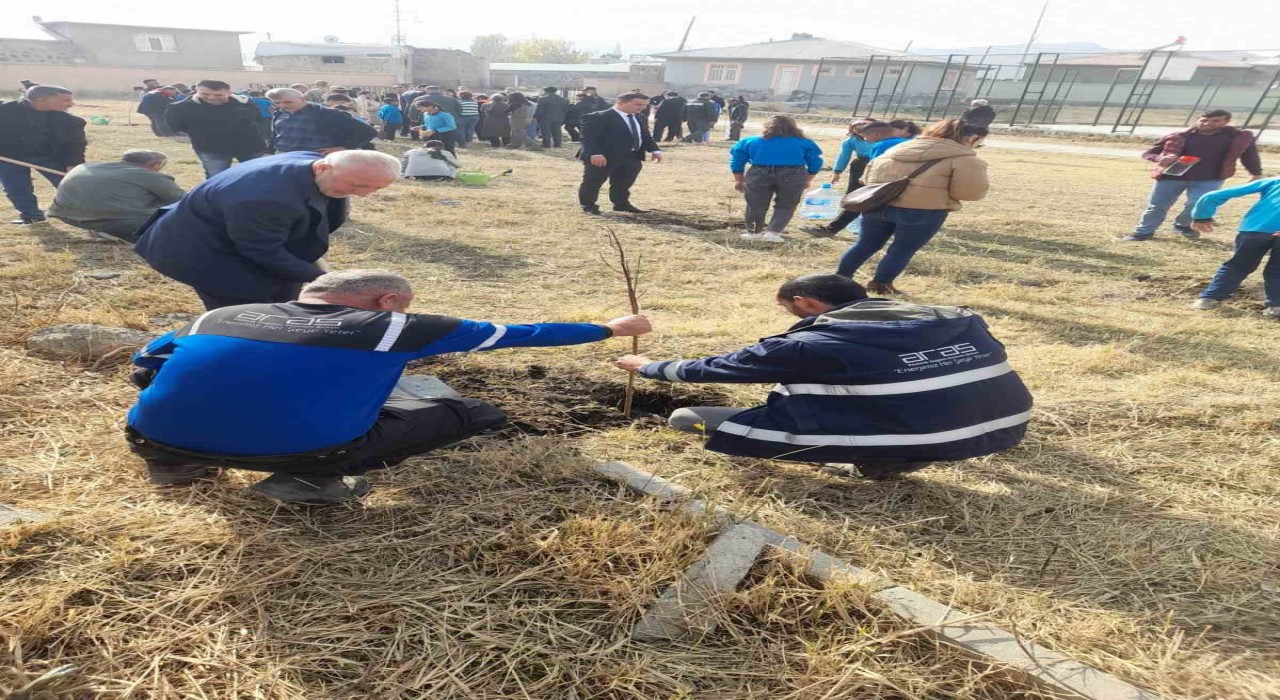 Aras EDAŞ, Milli Ağaçlandırma Gününde geleceğe nefes oldu