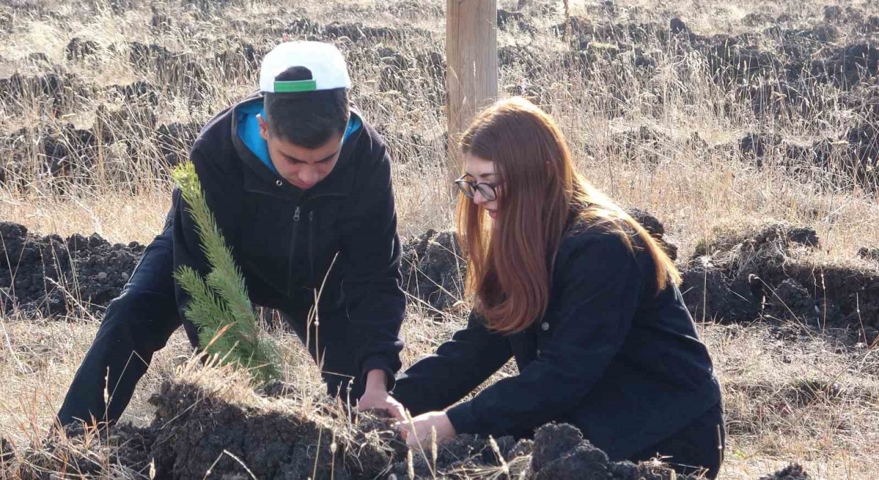 Ardahanda Milli Ağaçlandırma Gününde fidanlar toprakla buluştu