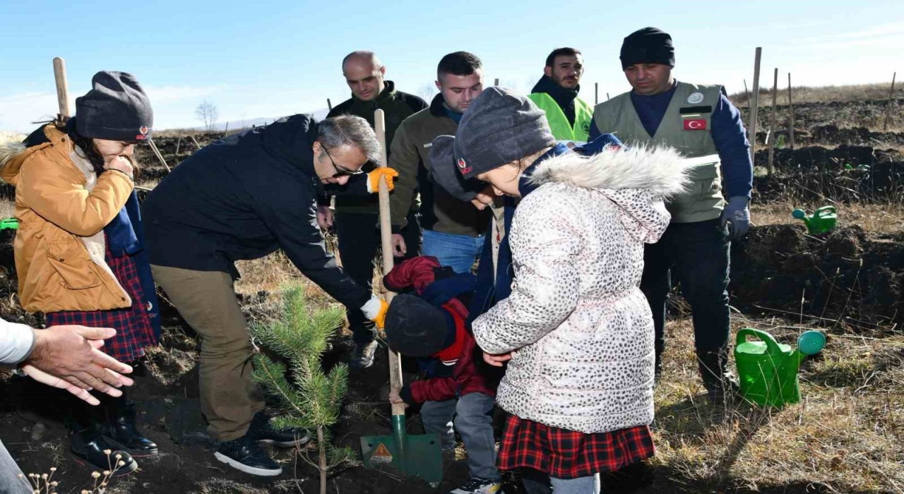 Ardahanda öğrenciler fidan dikti