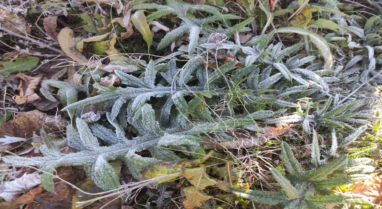 Ardahanın Göle ilçesi Türkiyenin en soğuk yerleşim yeri oldu