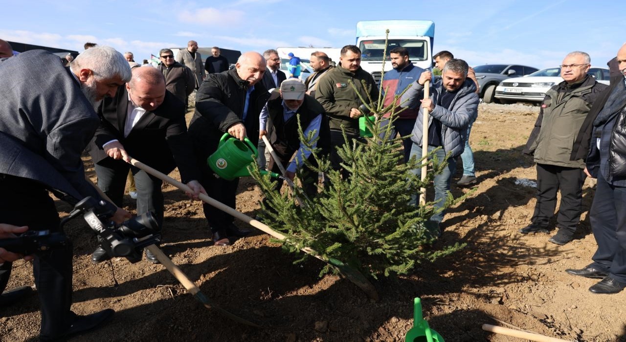 Arnavutköyde Gazze için 10 bin fidan dikildi