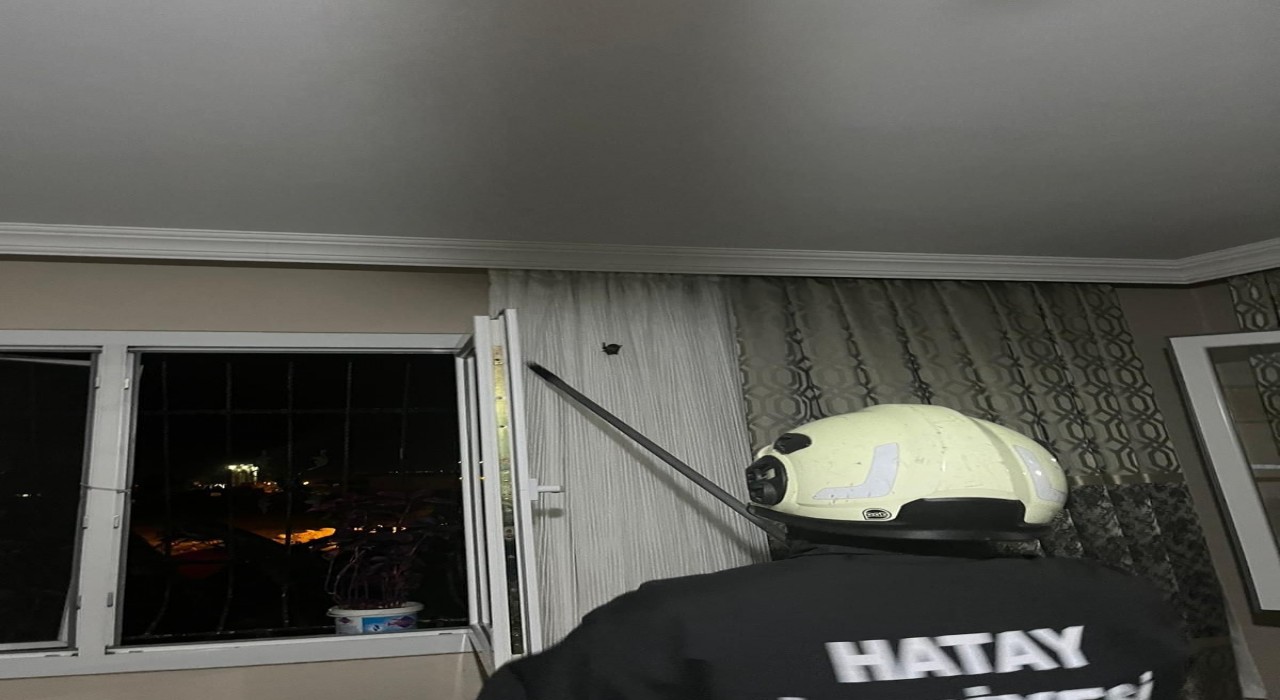 ARsuzda eve giren yarasayı itfaiye yakaladı