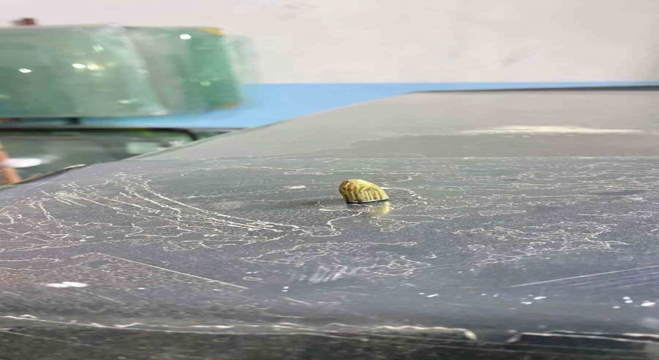 Artvinde maganda kurşunu park halindeki araca ve iş yerine isabet etti