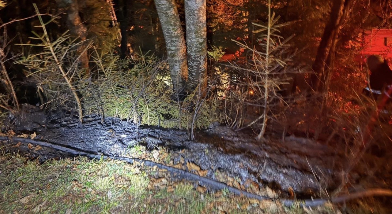 Artvinde zirai alanda yangın kısa sürede söndürüldü