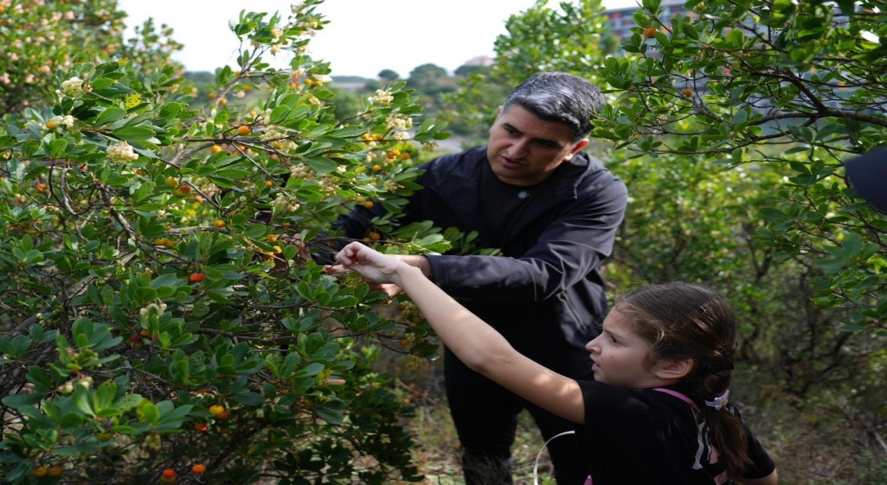 Ataşehirde 438 metre yükseklikte çilek festivaline akın ettiler