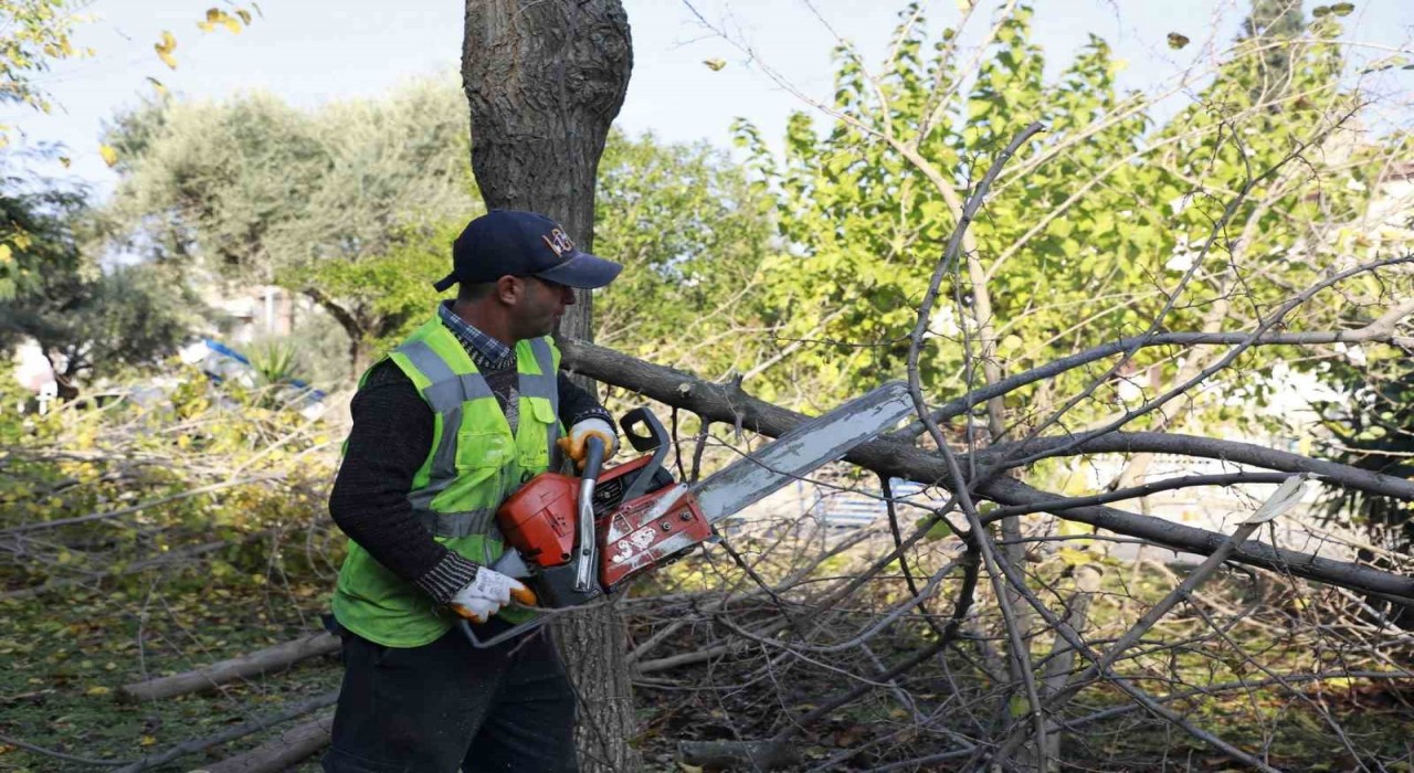 Aydın Büyükşehir Kemer Mahallesinde budama ve temizlik çalışması gerçekleştirdi
