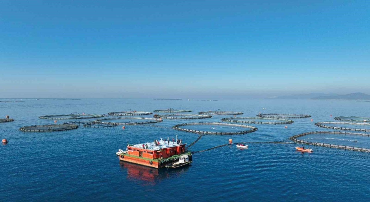 Aydında su ürünleri destekleme başvuruları başladı