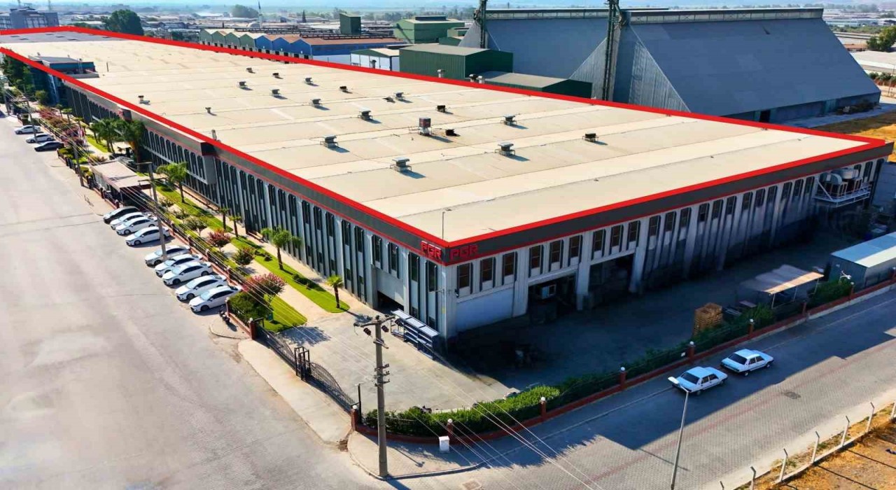 Aydından bir dünya makası doğuyor