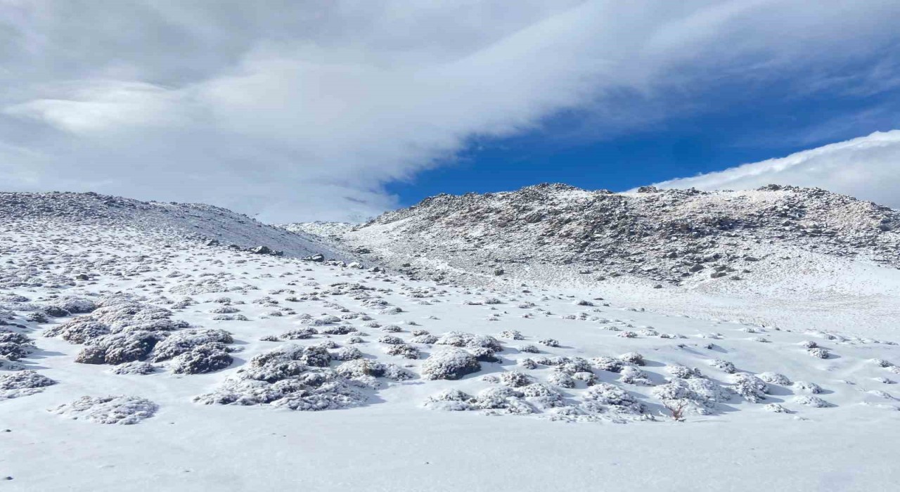 Aydınlarda kar yağışı