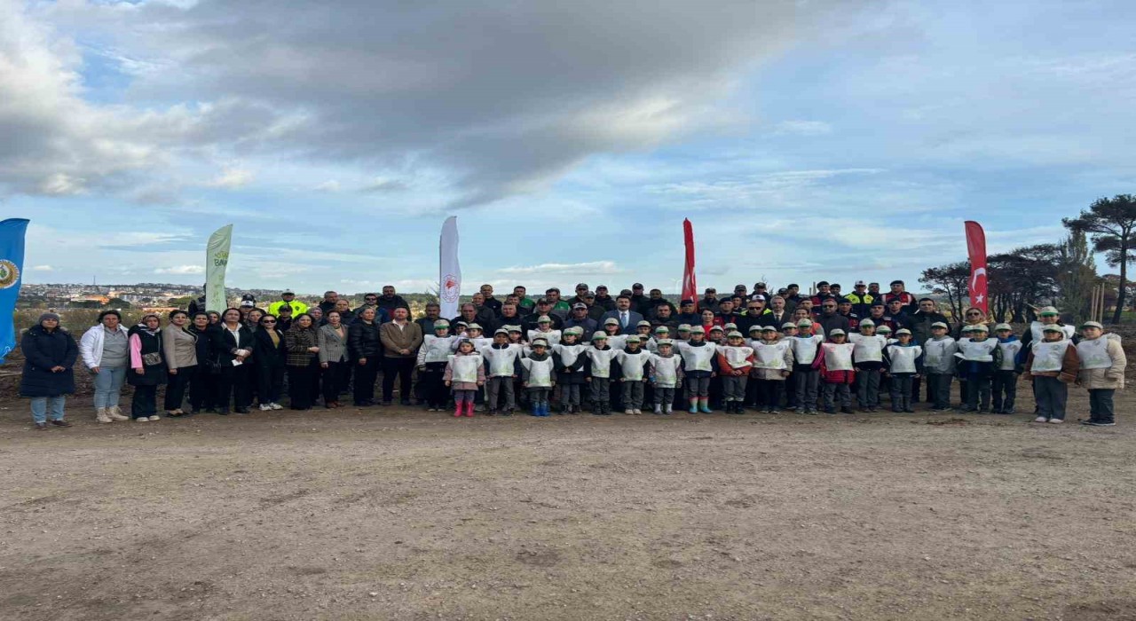 Ayvacıkta 1500 Fıstık Çamı Fidanı Toprakla Buluşturuldu