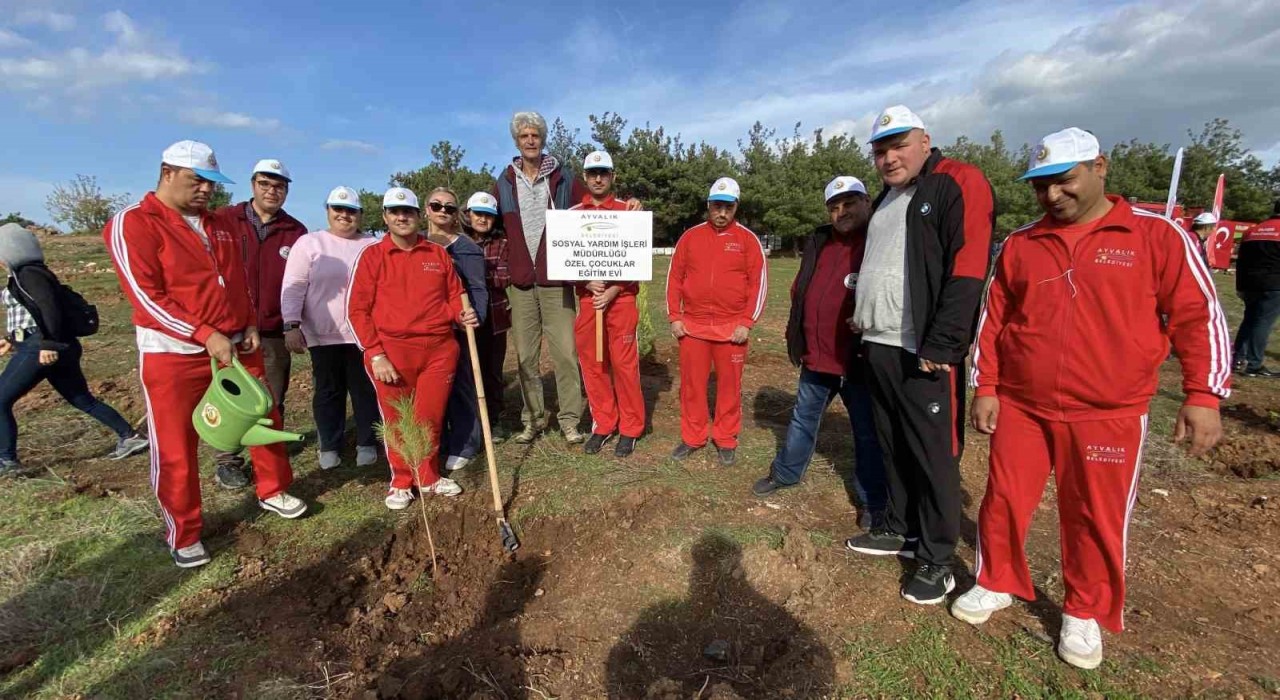 Ayvalıkta ertelenen fidan dikim etkinliğine ilgi yoğun oldu
