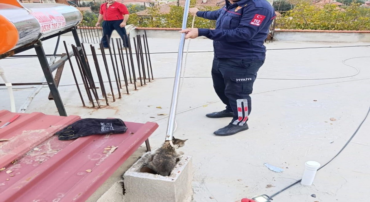 Bacaya sıkışan kediyi itfaiye kurtardı
