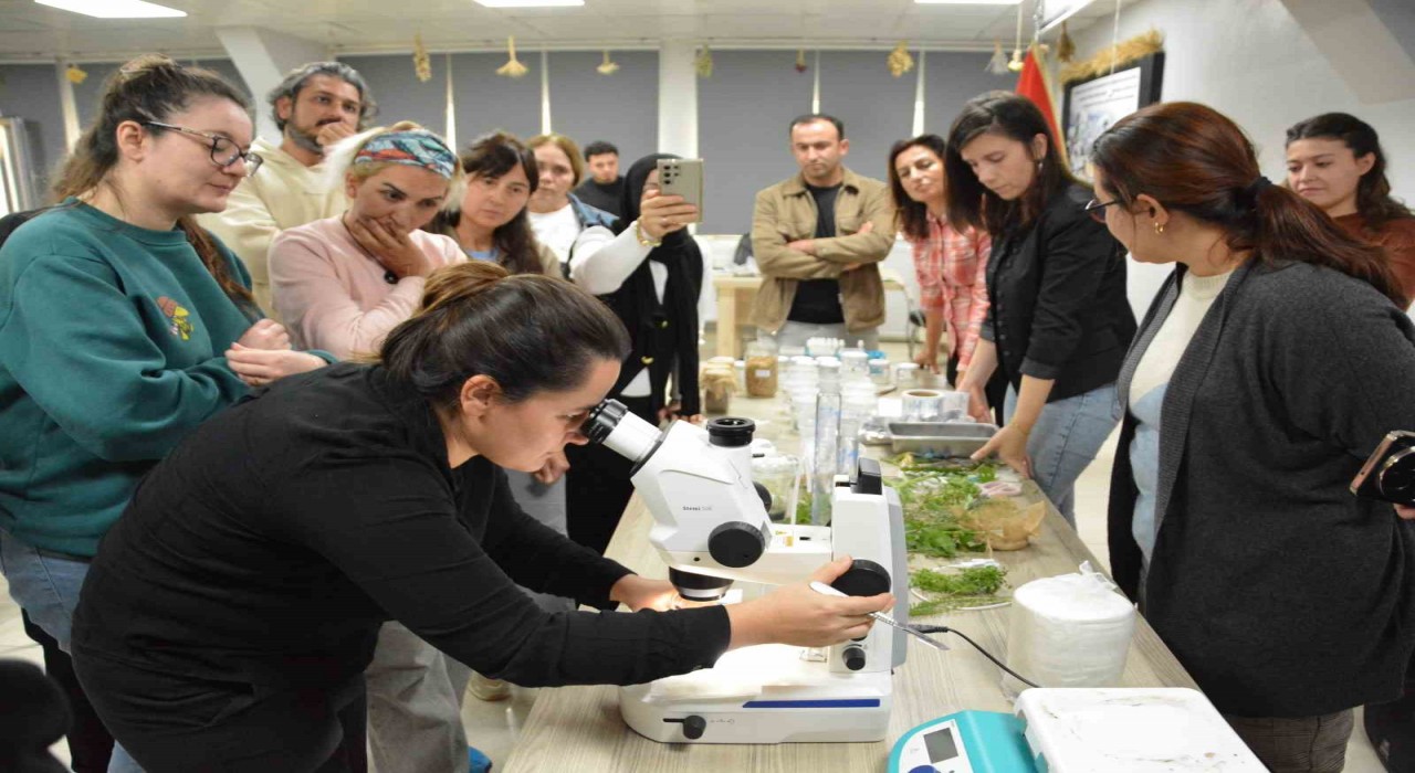 BAÇEMde 5. Bitki Doku Kültürü kursu tamamlandı