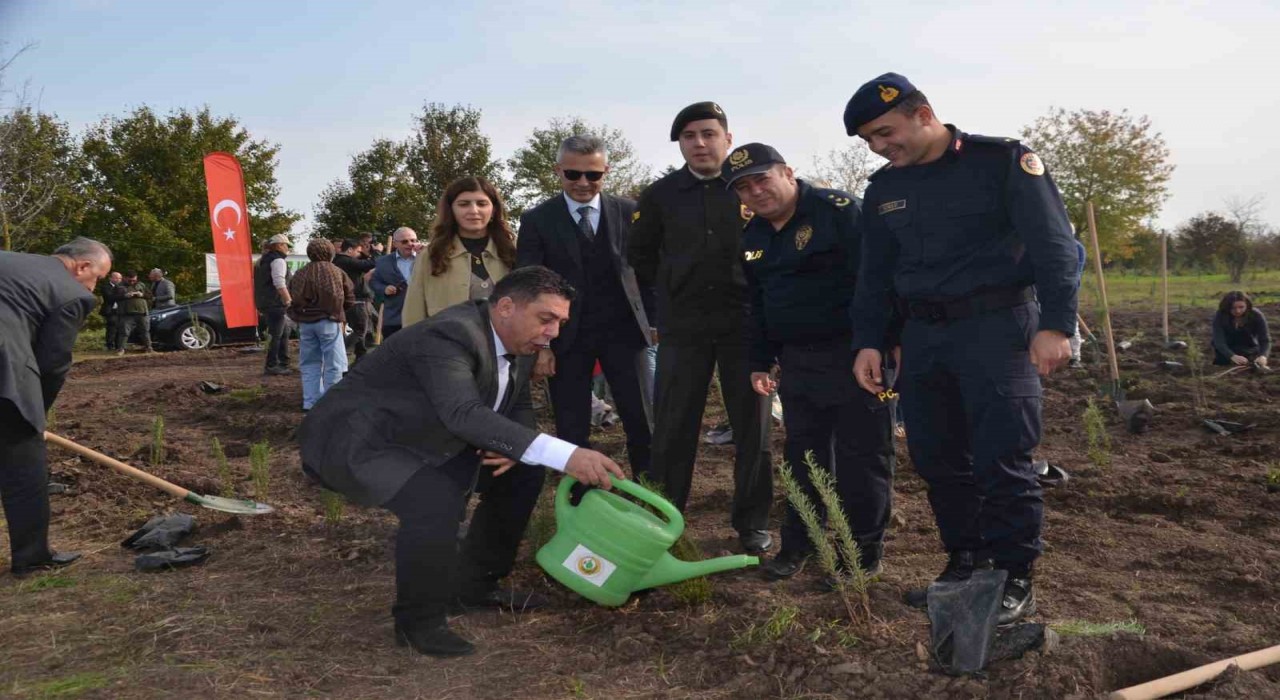 Bafrada 8 bin fidan toprakla buluştu