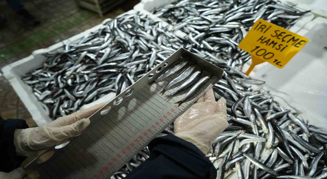 Balık tezgahlarına yakın markaj: 109 kişi ve işletmeye 2,5 milyon TL ceza