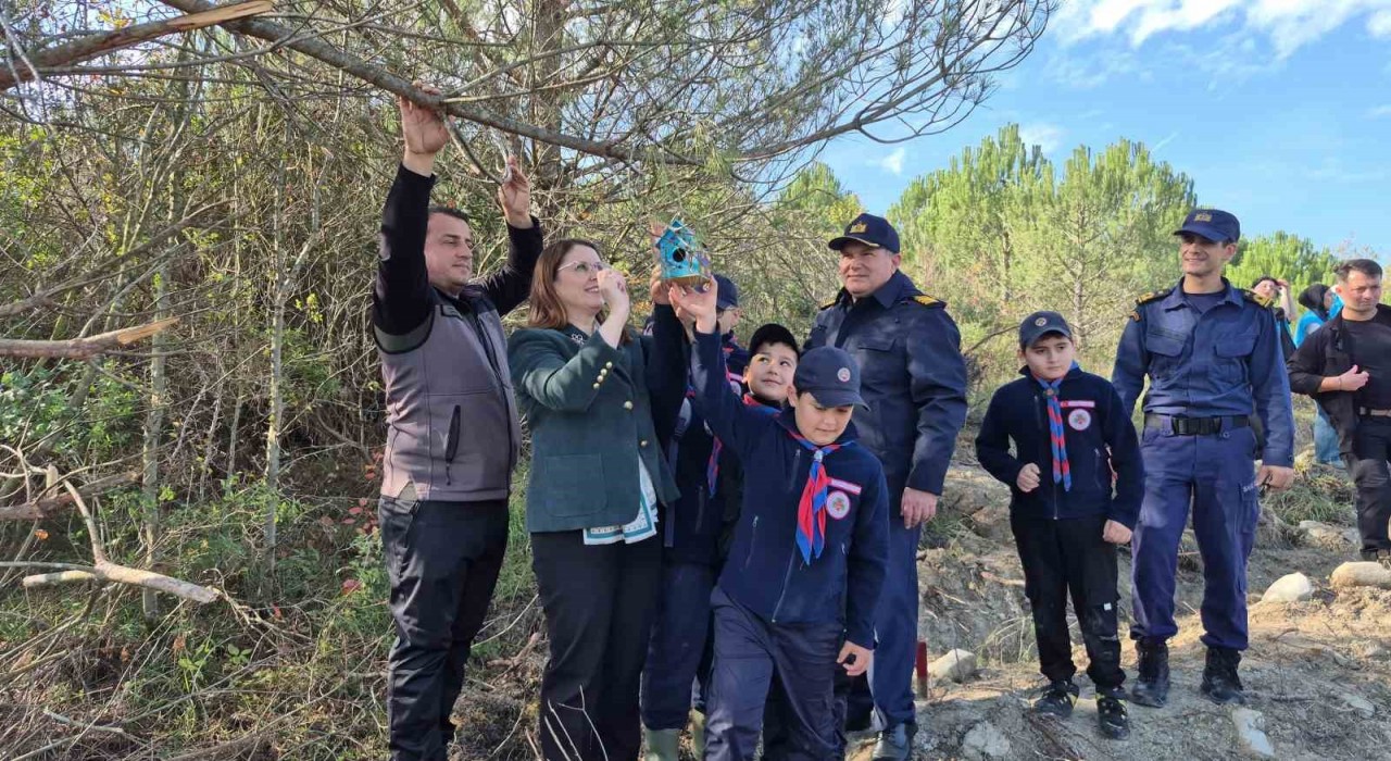 Bartında 3 bin 500 adet fidan dikildi