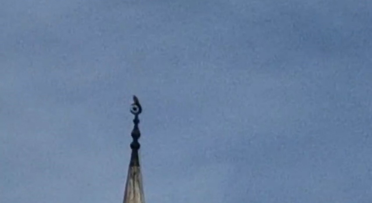 Bartında gökdoğan heyecanı