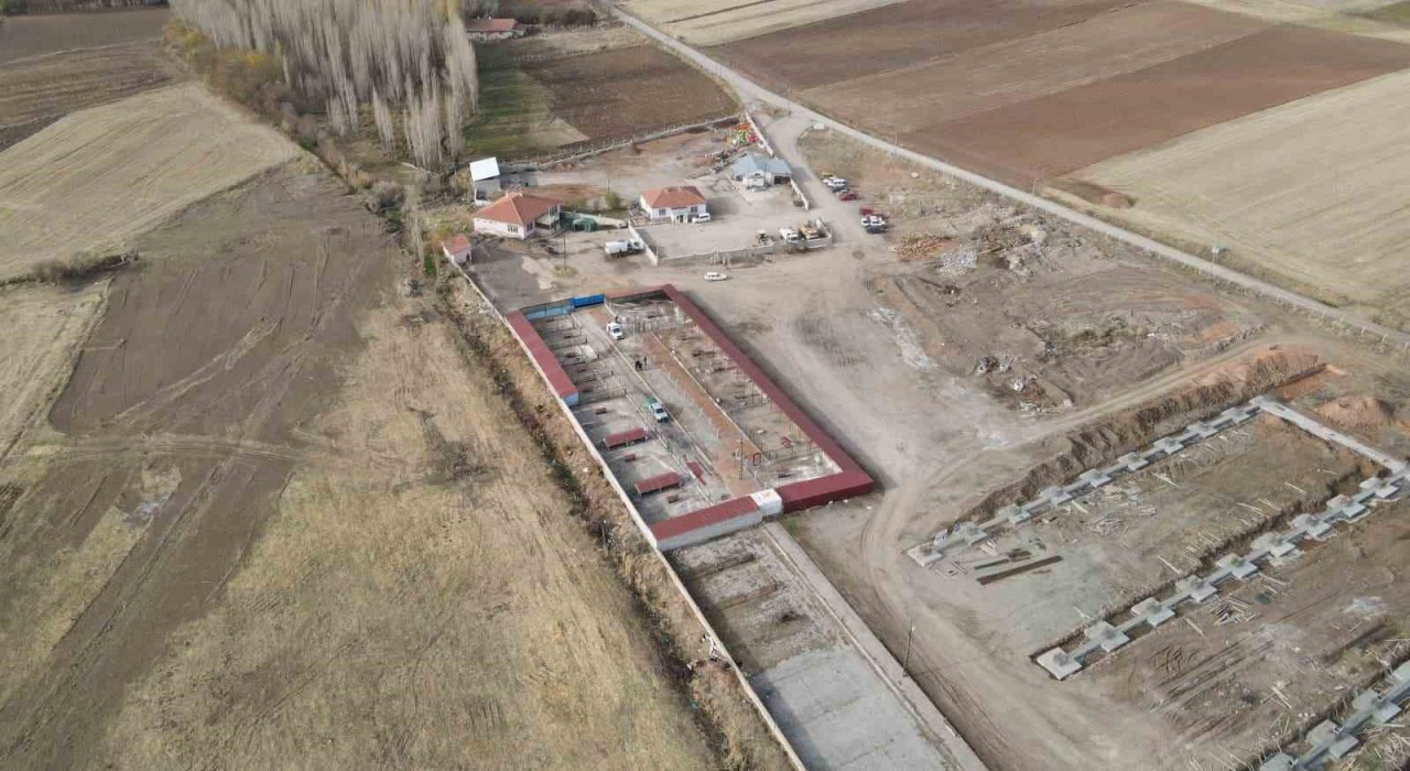 Başkan Metinden sokak hayvanları için örnek hizmet