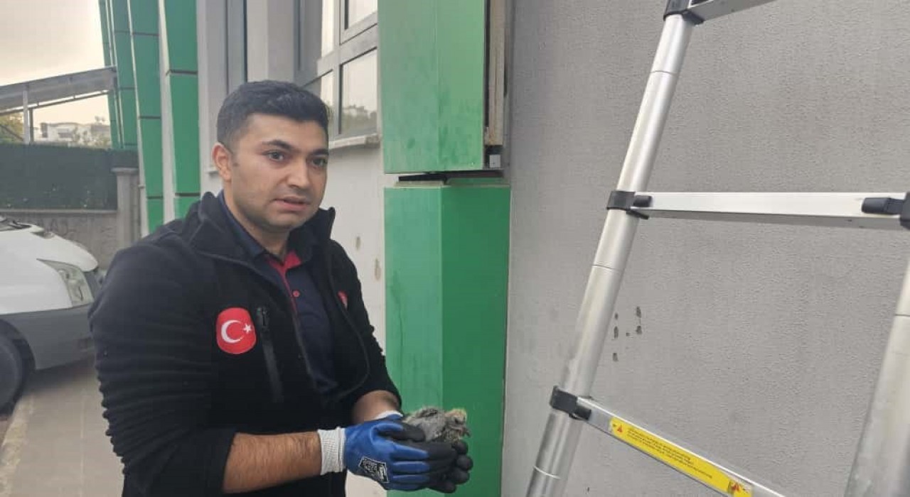 Batmanda kolonlara sıkışan kuş kurtarıldı