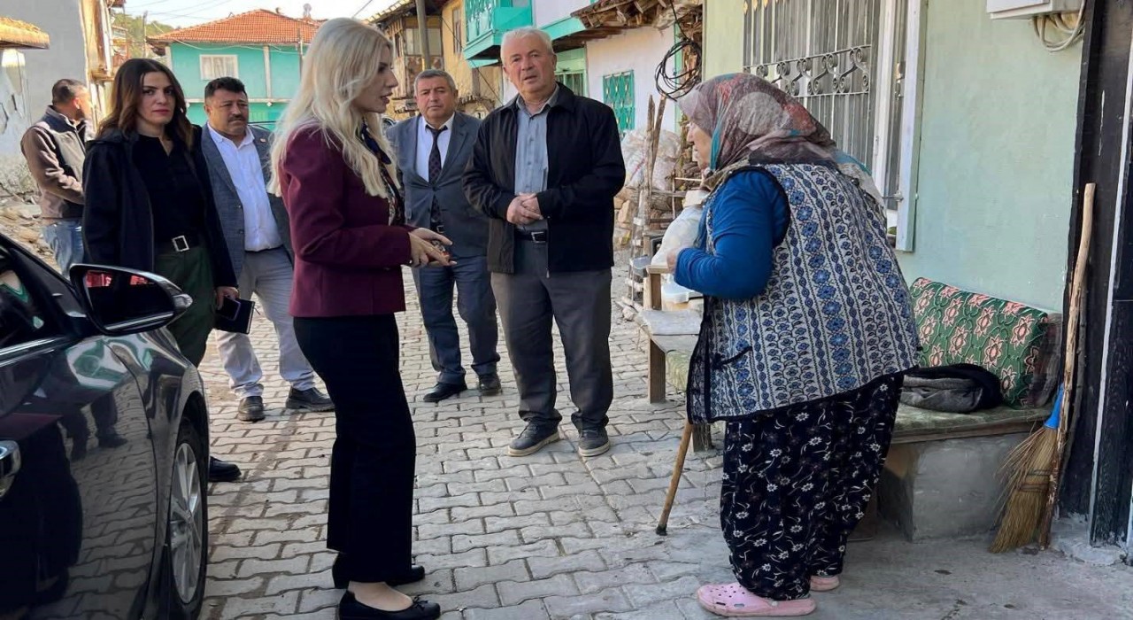 Bayan Kaymakam köy köy dolaşıyor
