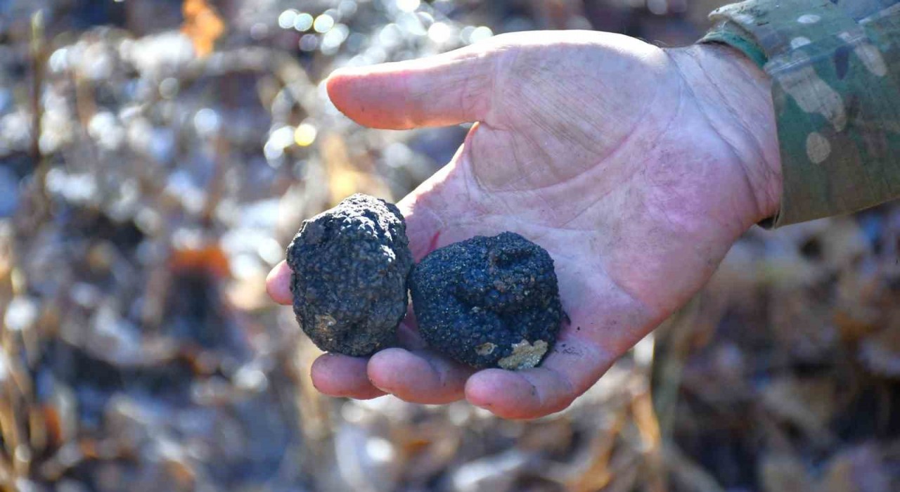 Bayburt ‘Kara Elmas ile tanışacak