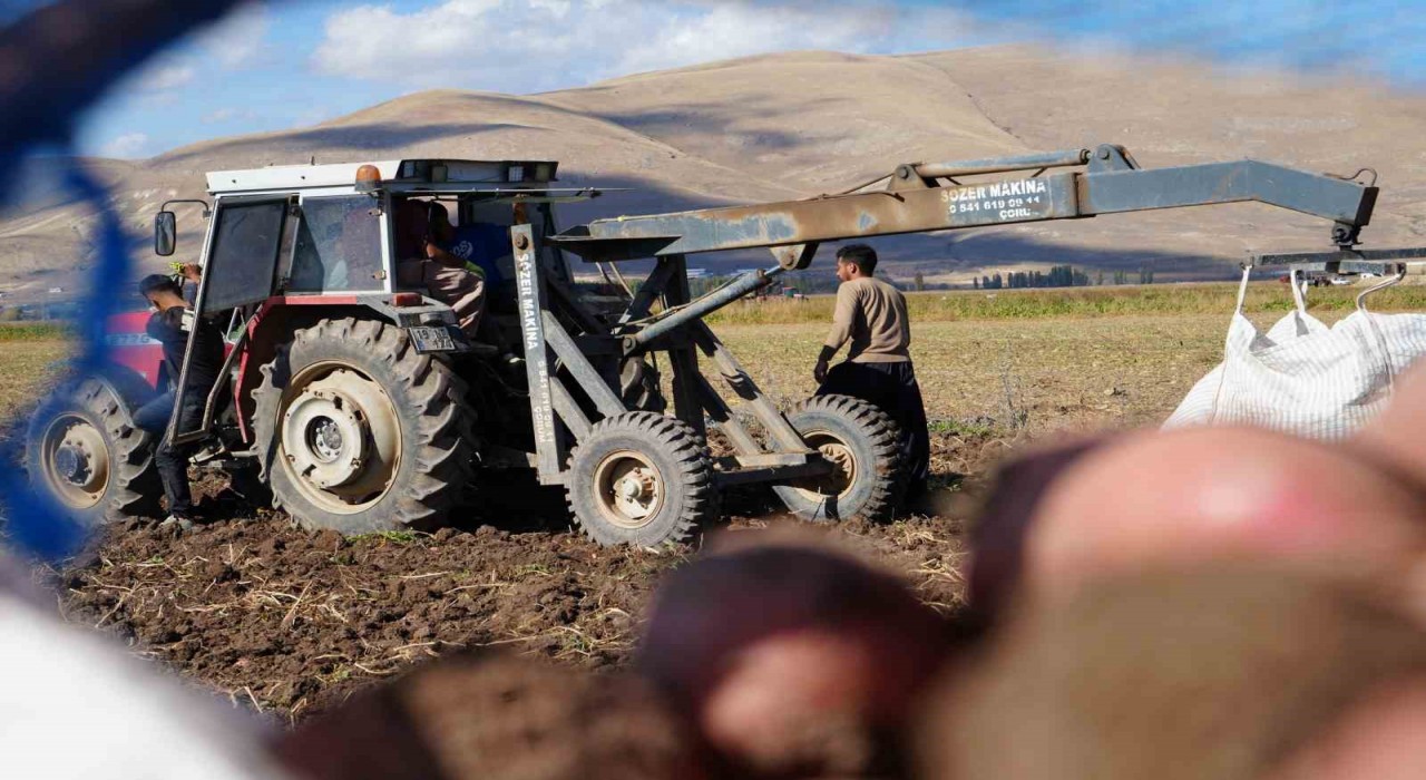 Bayburtun Çayıryolu köyündeki patates hasadına İranlı işçiler destek veriyor