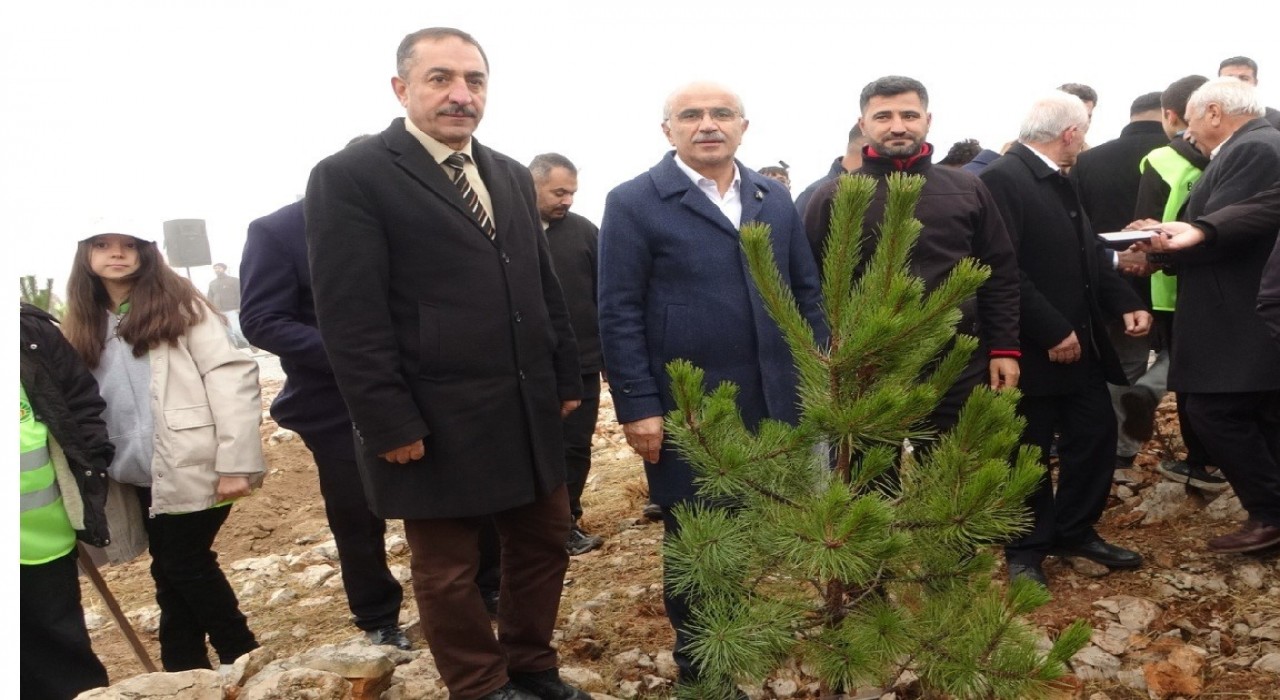 Beydağının etekleri 10 bin 444 ağaçla geleceğe nefes oldu