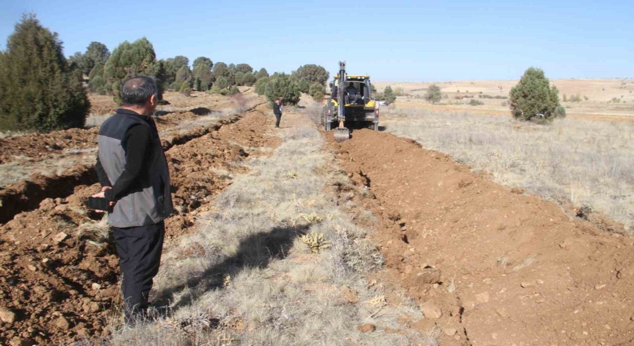 Beyşehirde 11 bin orman fidanı daha toprakla buluşturulacak