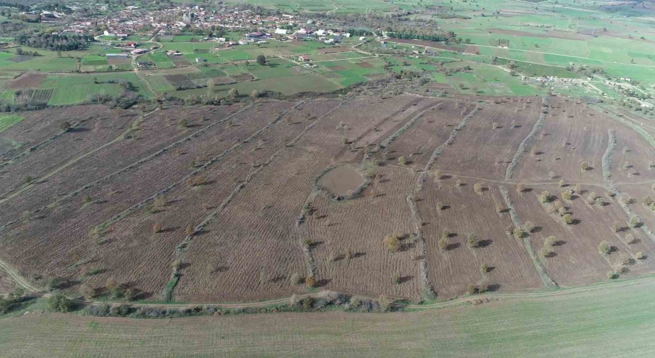 Bigada proje çerçevesinde 2 yılda 845 dekar mera alanı ıslah edildi