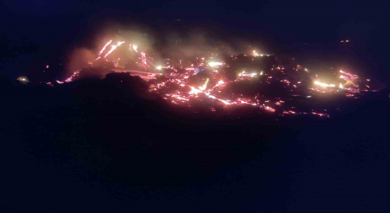 Bilecikte çürümüş ağaç ve kökler yakılırken alevler kontrolden çıktı