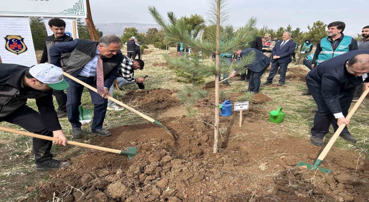 Bingölde 25 bin fidan toprakla buluştu