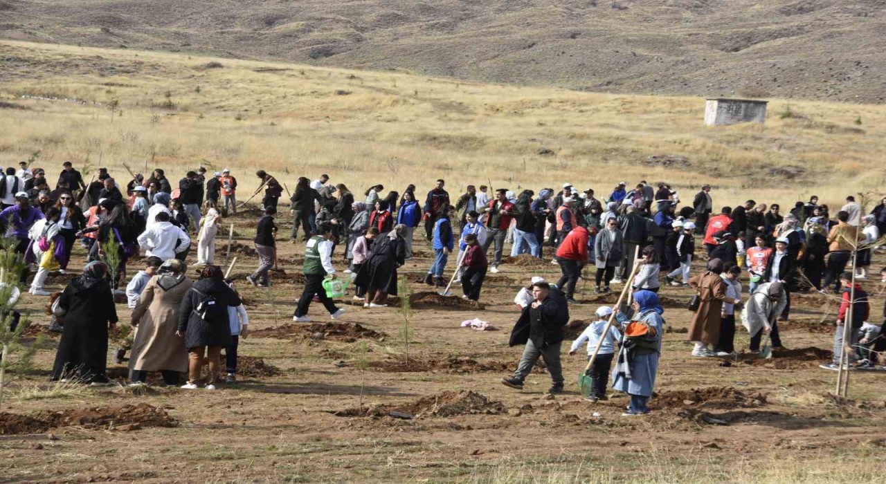 Bitliste milli ağaçlandırma seferberliği