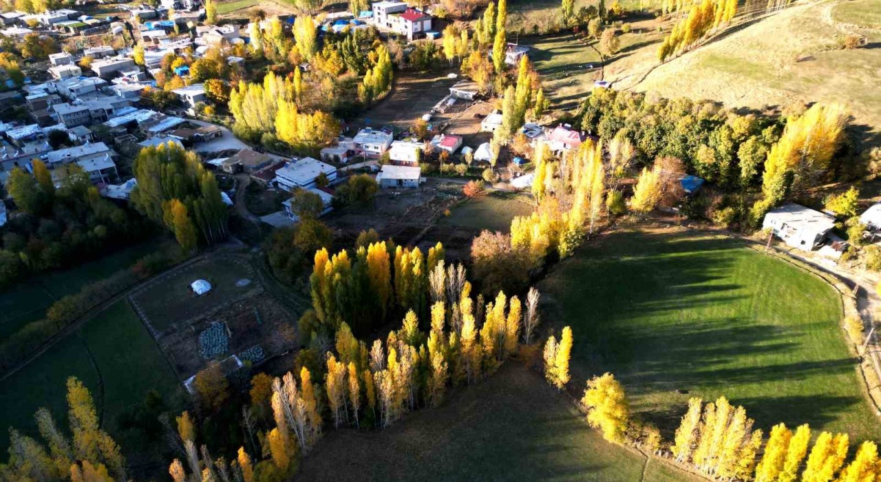 Bitliste seyrine doyulmaz sonbahar güzelliği