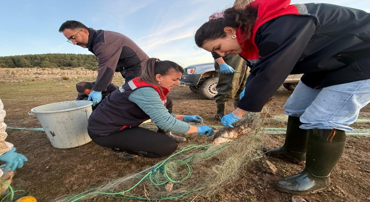 Boluda 5 kilometrelik hayalet ağ toplandı: 500 balık canlı kurtarıldı