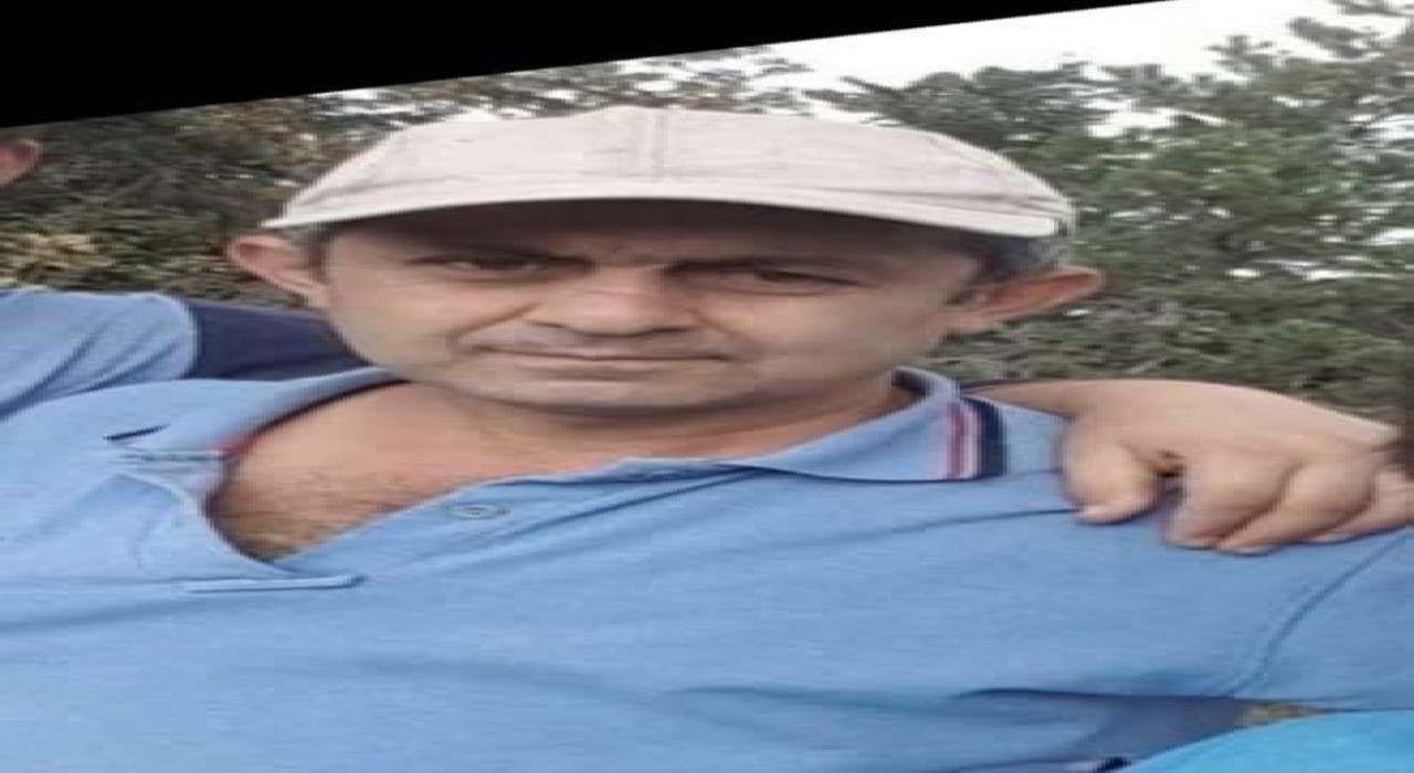 Boluda ağacın altında kalan vatandaş hayatını kaybetti