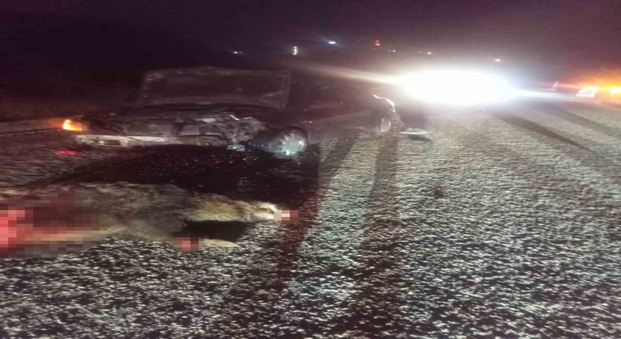 Boluda domuza çarpan otomobil hurdaya döndü: 1 yaralı