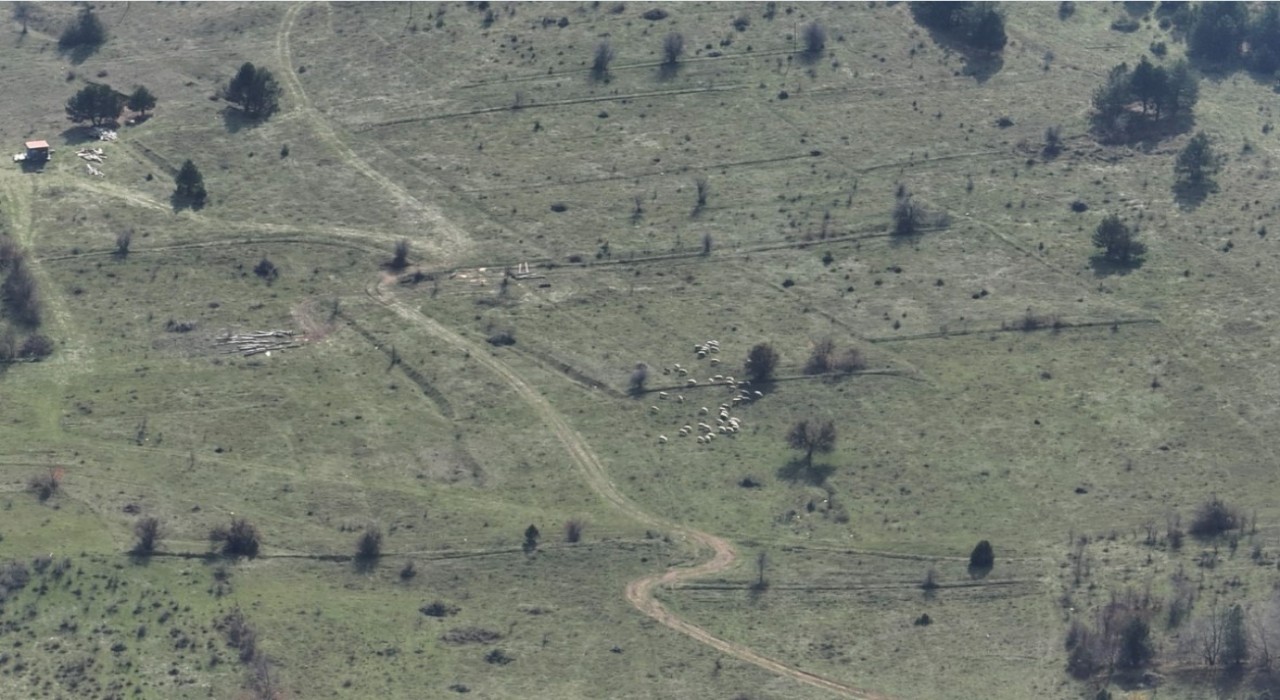 Boluda kayıp hayvanlar dronla bulundu