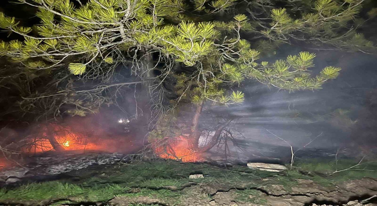 Boluda ormanlık alanda yangın çıktı