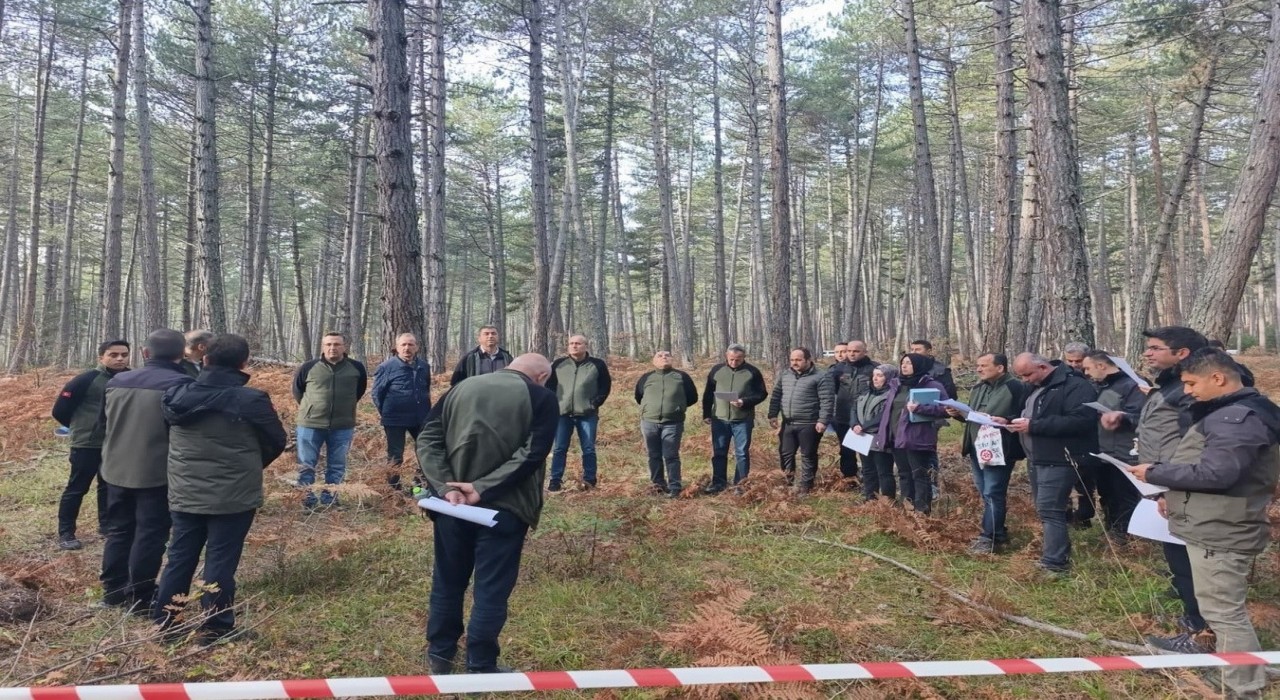 Boluda sağlıklı ormanlar için ekipler sahaya indi