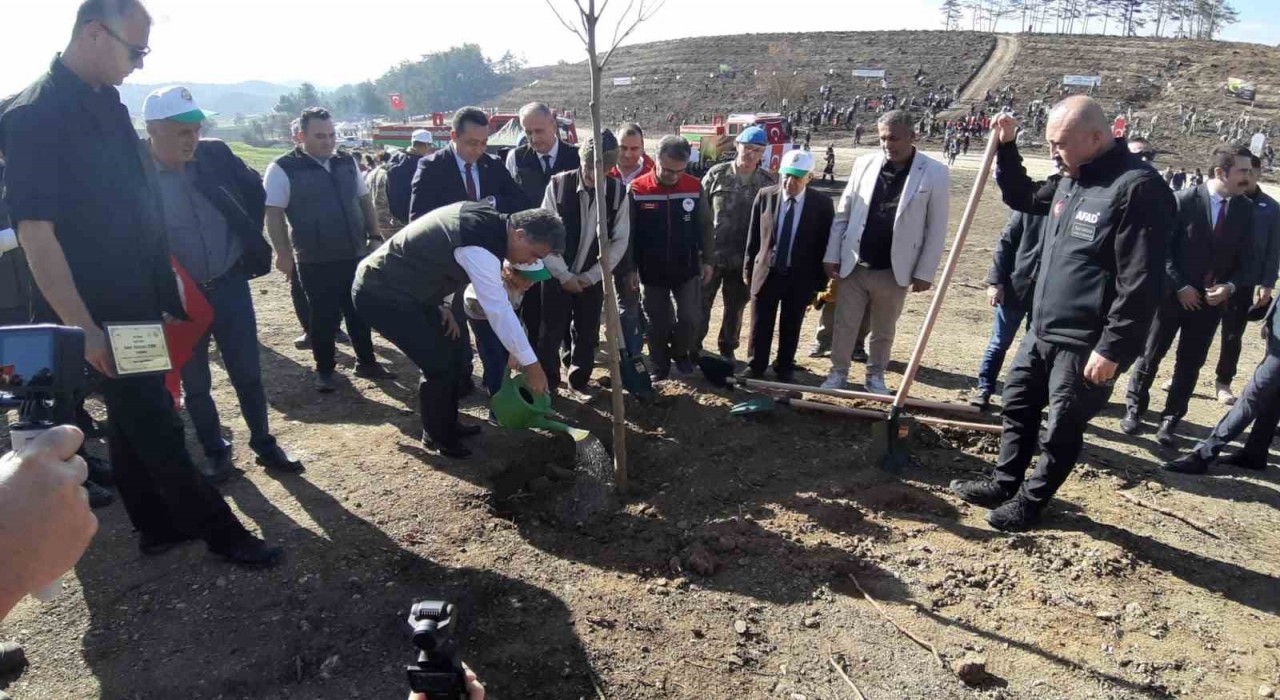 Boluda yanan orman yeniden yeşeriyor