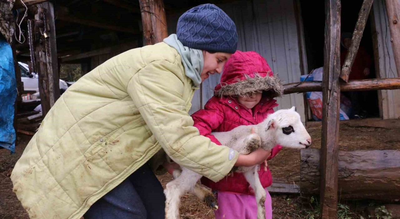 Boluda yaylalardan köylere göç başladı