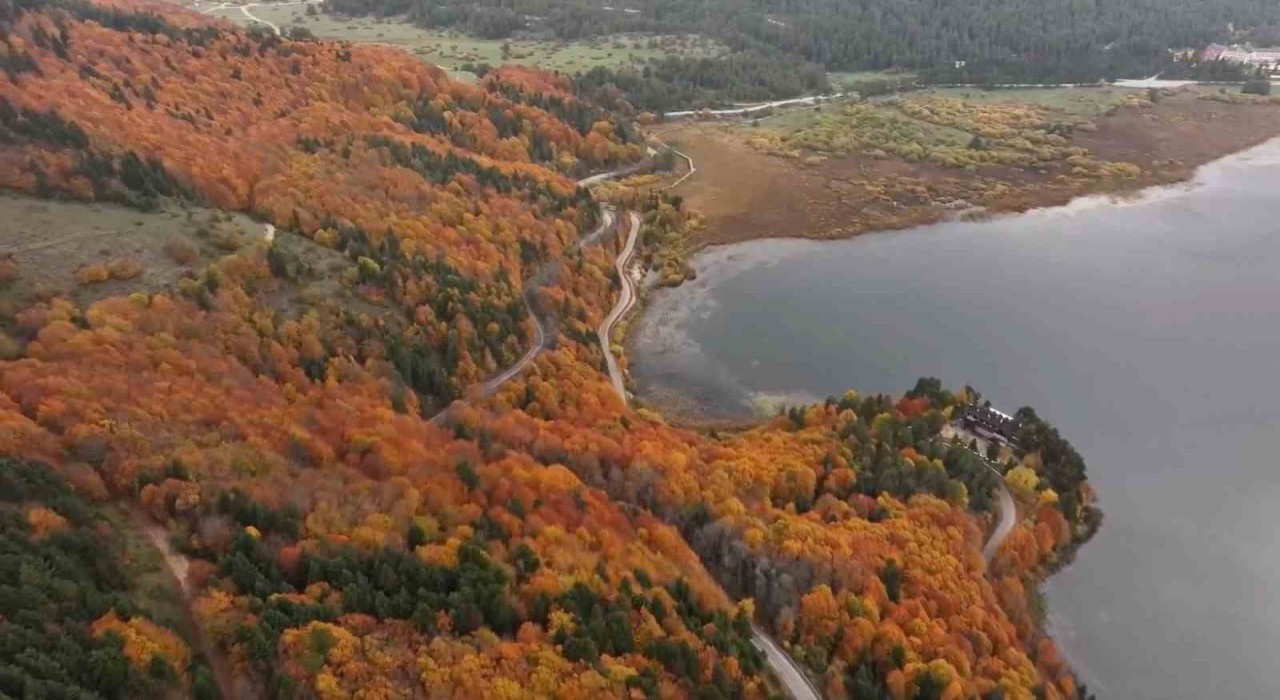 Bolunun doğa harikası Abantta ziyaretçiler akın etti