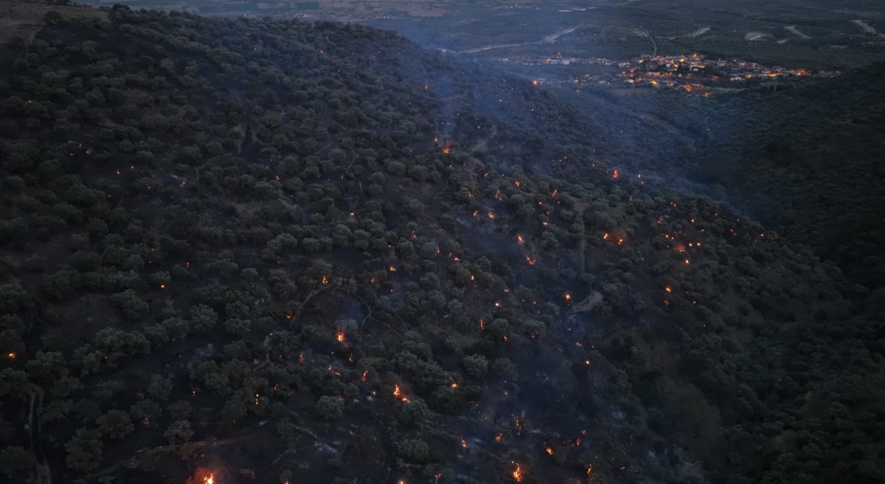 Bozdoğan yangını büyük ölçüde kontrol altına alındı