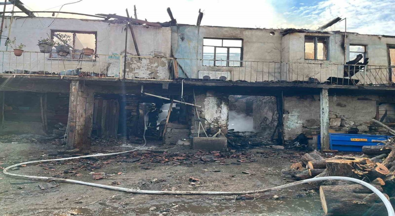 Bozdoğanda çıkan yangında ev tamamen küle döndü