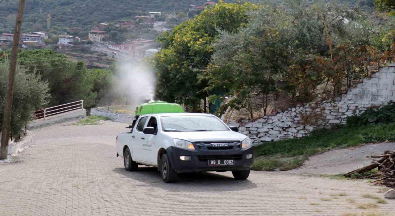 Bozdoğanda karasinekle mücadele