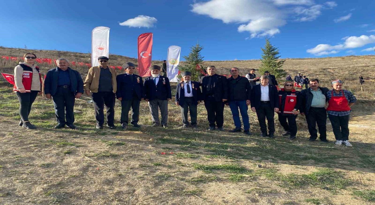 Bozüyükte şehitler anısına fidan dikimi