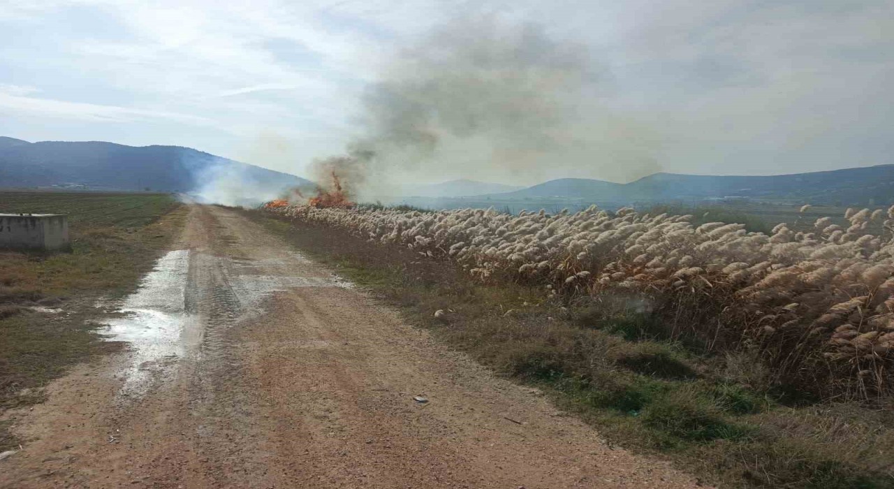Bucakta sazlık alanda yangın