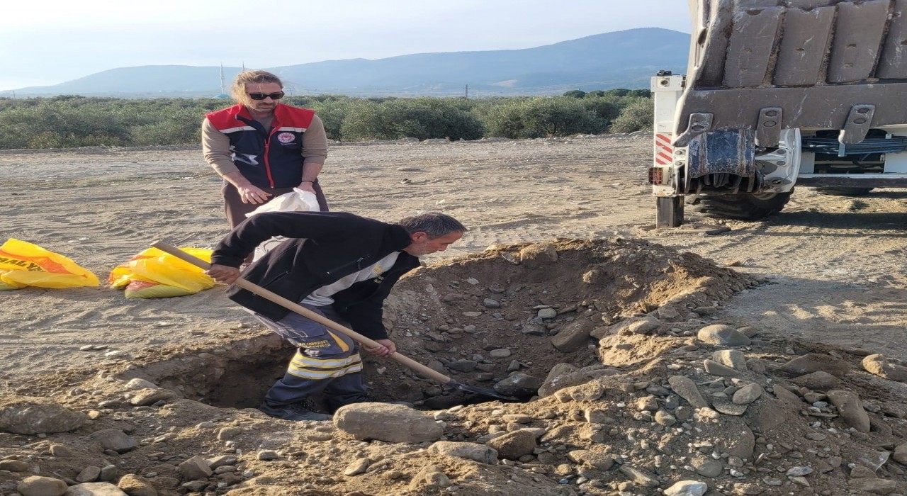 Buharkentte toprak analizi yapıldı