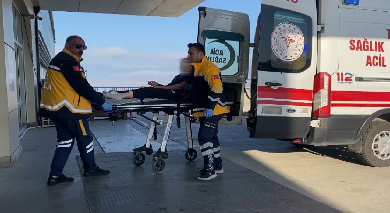 Burdurda sokak köpekleri küçük kıza dehşeti yaşattı