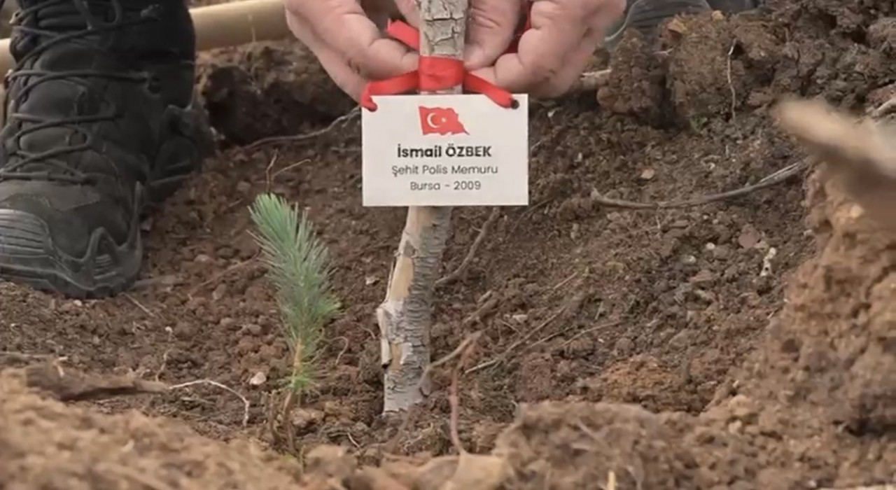 Bursada şehitler anısına fidan dikildi